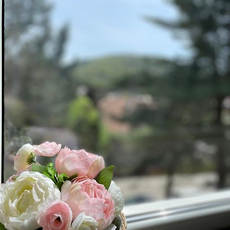 Apartament A&A Gura Humorului Ngoại thất bức ảnh